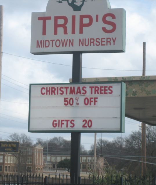 christmas-trees-half-price christmas-trees-half-price