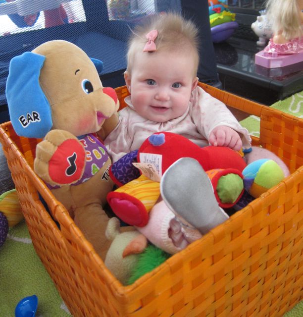 harlowe i a box