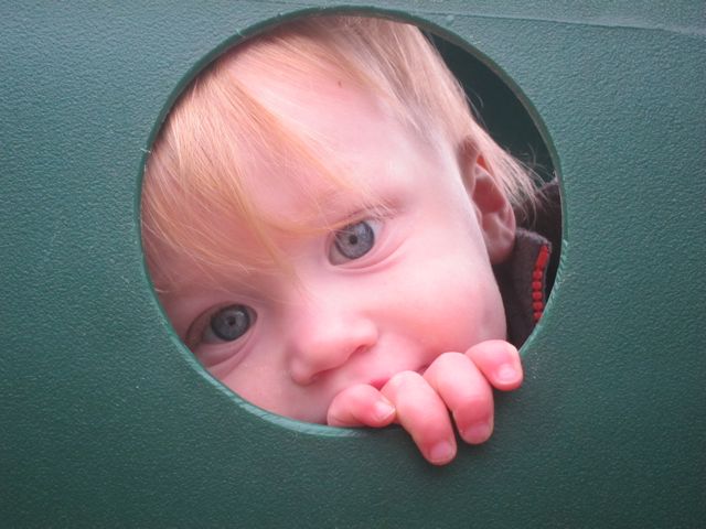 chase peeking out of playground