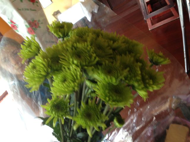 flowers green
